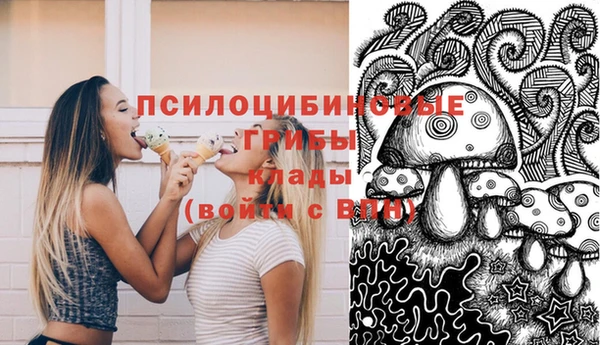 дурь Алзамай