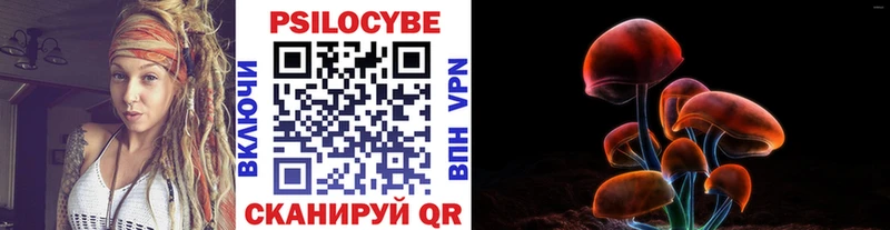 Псилоцибиновые грибы Cubensis  Черноголовка 